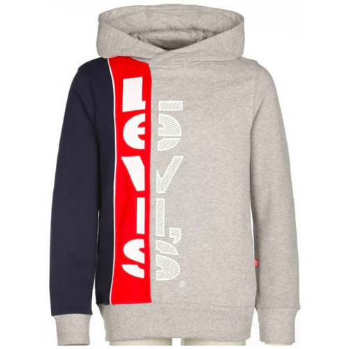 Vêtements Garçon Sweats Levi's LVB STRIPED HOOKUP PO HOODIE - GREY HEATHER - 10 ans Multicolore