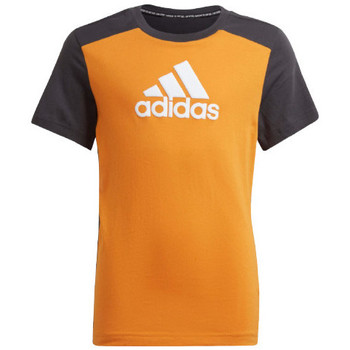 Vêtements Garçon T-shirts manches courtes adidas Originals TEE-SHIRT B BOS JUNIOR - FOCORA CARBON WHITE - 13/14 ans Multicolore
