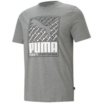 Vêtements Homme T-shirts & Polos Puma TEE SHIRT  GRIS - MEDIUM GRAY HEATHER - M Multicolore
