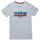 Vêtements Homme T-shirts & Polos Teddy Smith TEE-SHIRT T-NABY MC - Gris chiné - L Multicolore