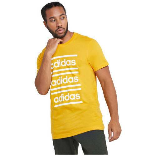 Vêtements Homme T-shirts & Polos adidas Originals TEE-SHIRT M C90 BRD - ACTGOL/WHITE - M Multicolore