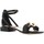 Chaussures Femme Sandales et Nu-pieds Andrea Pinto 420 Autres