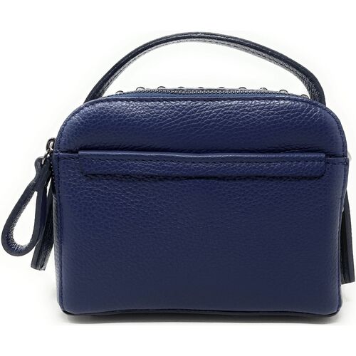 Sacs Femme Coccinelle Tebe logo-strap pebbled shoulder bag Shoulder Oh My Bag Shoulder AMY Bleu