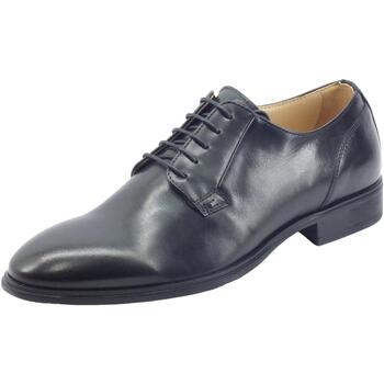 Chaussures Homme Derbies & Richelieu NeroGiardini I202304U Ilcea Noir