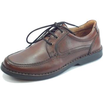 Chaussures Homme Bottines / Boots Zen 476765 Marron
