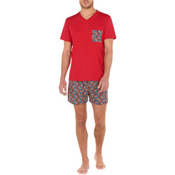 Vêtements Homme Pyjamas / Chemises de nuit Hom Pyjama court Multicolore