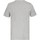 Vêtements Homme T-shirts manches courtes Everlast Norman Gris