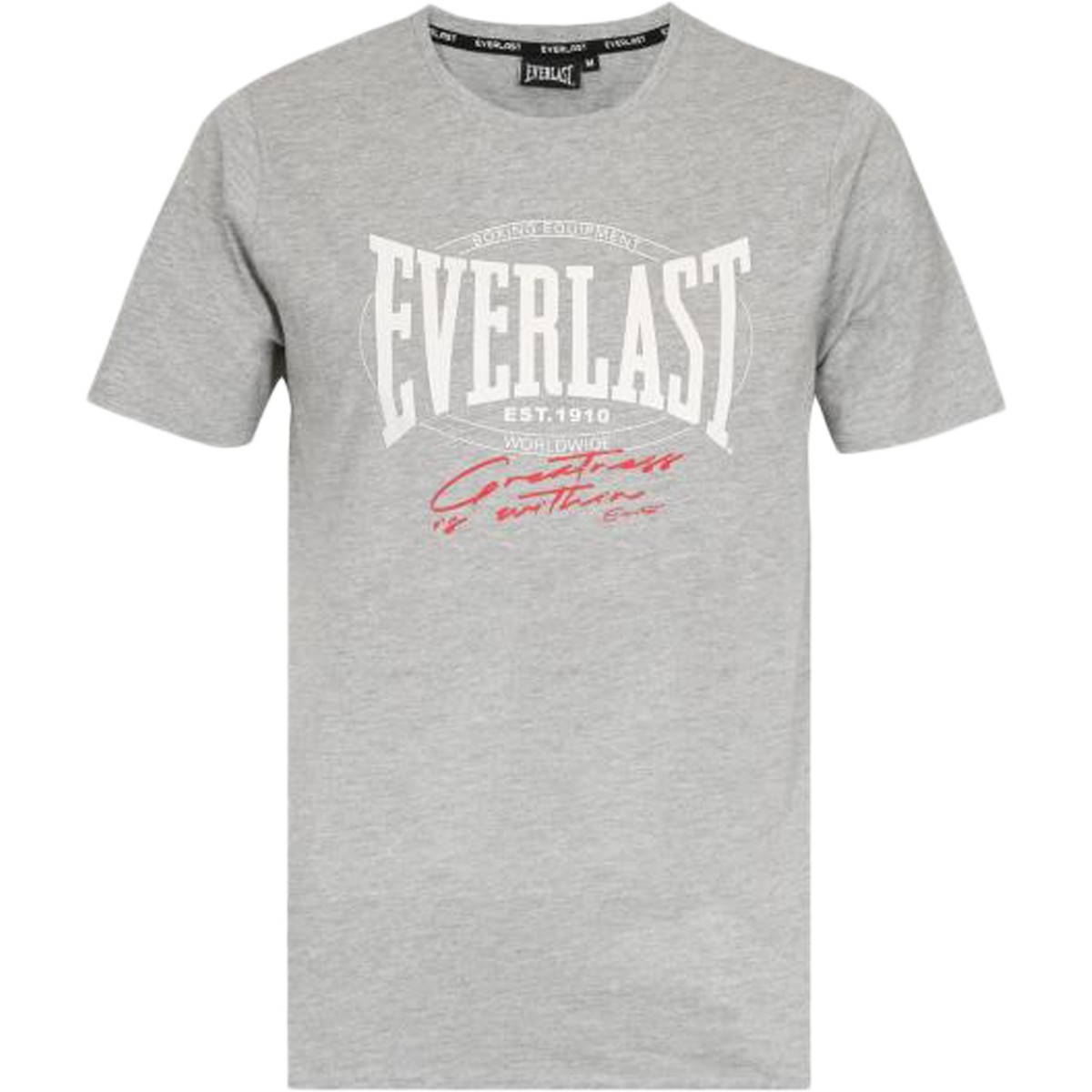 Vêtements Homme T-shirts manches courtes Everlast Norman Gris