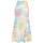 Vêtements Femme Robes Tommy Jeans Robe Patineuse  Ref 56192 0k6 Multicolore Multicolore