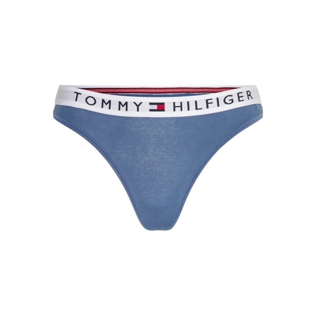 Sous-vêtements Femme Culottes & slips Tommy Hilfiger Culotte  Ref 56118 C4Q Bleu Bleu