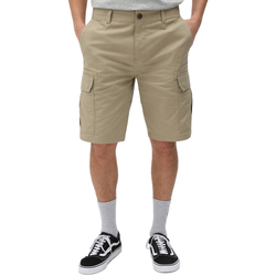 Vêtements Homme Shorts / Bermudas Dickies DK0A4XED Beige