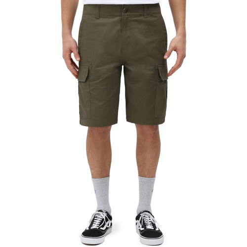 Vêtements Homme jtaljede Shorts / Bermudas Dickies DK0A4XED Vert