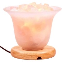 Maison & Déco Lampes à poser Phoenix Import Lampe en cristaux de Quartz rose et sel Rose