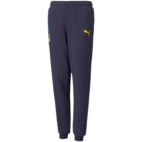 Vêtements Garçon Pantalons de survêtement Puma Neymar Jr Hero Sweatpants Bleu