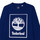 Vêtements Garçon T-shirts manches longues Timberland T25T31-843 Bleu