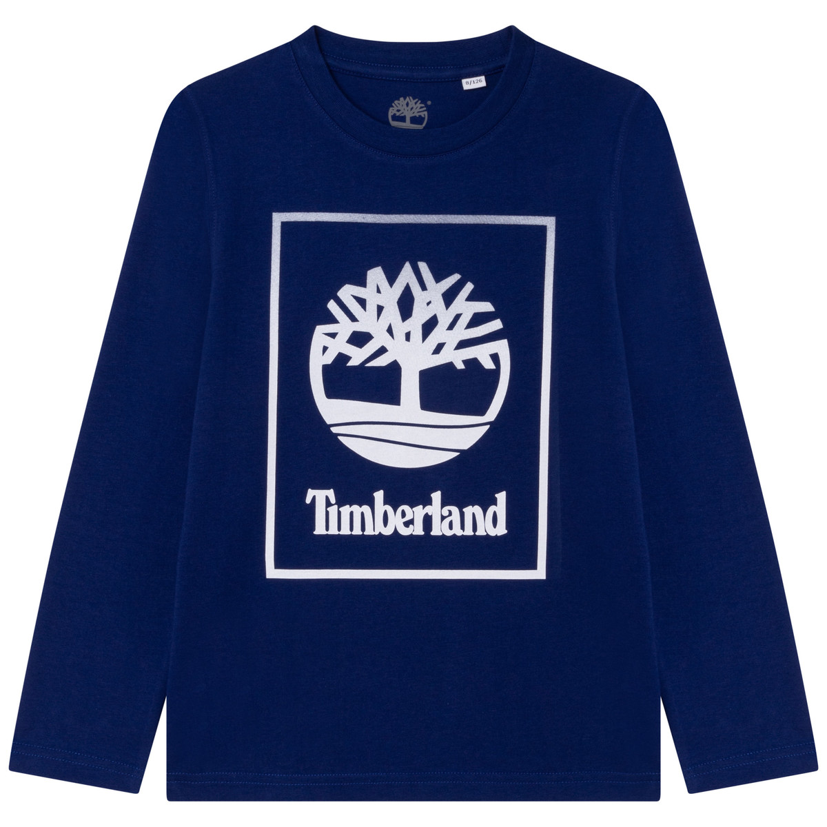 Vêtements Garçon T-shirts manches dispon Timberland T25T31-843 Bleu