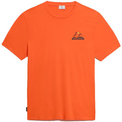 Vêtements Homme T-shirts manches courtes Woolrich WOTE0061MR Orange