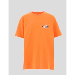 Vêtements Homme T-shirts manches courtes Dickies  Orange