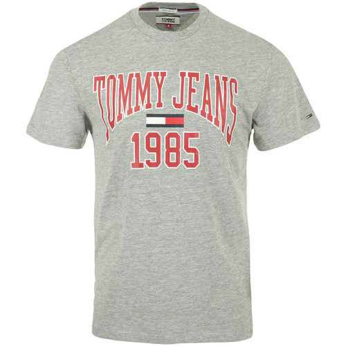 Vêtements Homme T-shirts manches courtes Tommy Hilfiger Collegiate Tee Gris