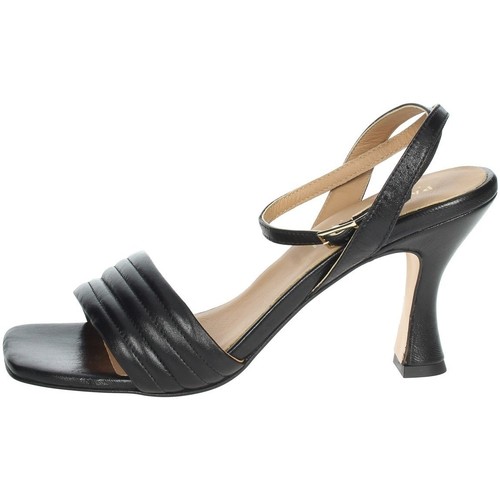 Chaussures Femme Sandales et Nu-pieds Paola Ferri D7734 Noir