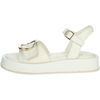 Chaussures Femme Sandales et Nu-pieds Paola Ferri D7708 Blanc