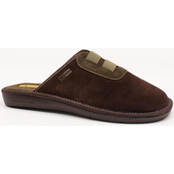 Chaussures Homme Chaussons Nordikas  Marron