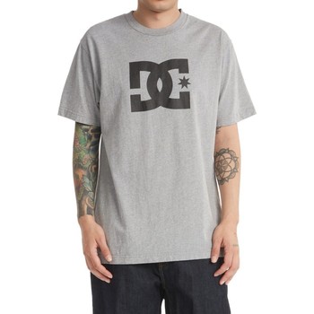Vêtements Homme T-shirts manches courtes DC Shoes DC Star noir - heather grey