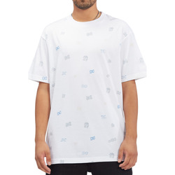 Vêtements Homme T-shirts manches courtes DC Shoes Wild Style Blanc