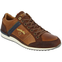 Chaussures Homme Baskets basses Pantofola d'Oro matera Marron