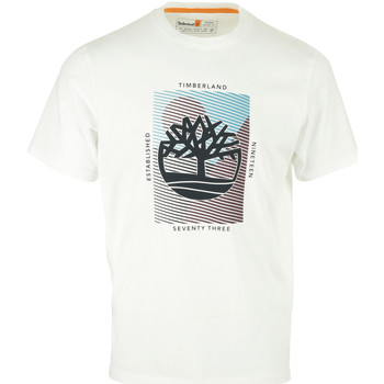 Vêtements Homme T-shirts manches courtes Timberland Graphic Branded Tee Blanc
