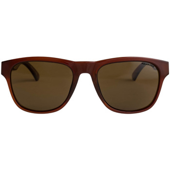 Quiksilver Tagger Polarized Beige