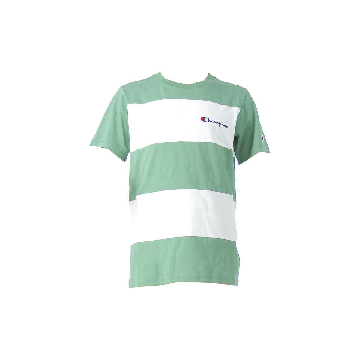 Vêtements Enfant T-shirts & Polos Champion Junior Vert