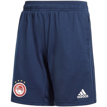 Vêtements Garçon Pantacourts adidas Originals Adizero FC Olympiakos WF Bleu marine
