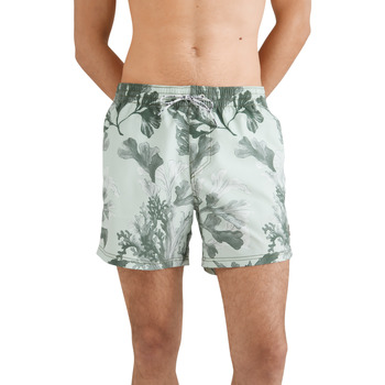 Vêtements Homme Shorts / Bermudas O'neill Short de bain  Origin Oyster vert