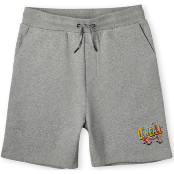 Vêtements Garçon Shorts / Bermudas O'neill Short enfant  Surf Dude gris