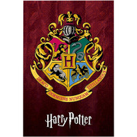 Maison & Déco Affiches / posters Harry Potter TA4109 Multicolore