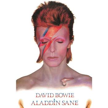 Maison & Déco Affiches / posters David Bowie TA8336 Multicolore