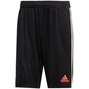 Vêtements Homme Shorts / Bermudas xplr adidas Originals Juve Tr Sho Noir