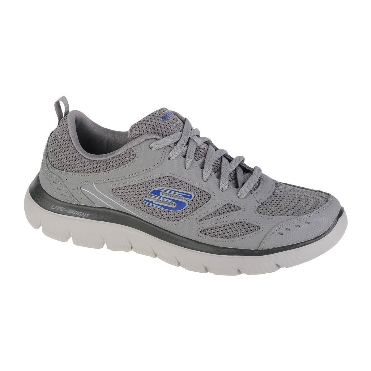 Chaussures Homme Fitness / Training Skechers Summits-South Rim Gris