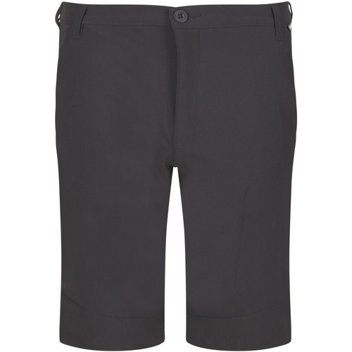 Vêtements Homme Shorts / Bermudas Regatta Highton Gris