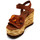 Chaussures Femme Sandales et Nu-pieds Elvio Zanon eq2005x Marron