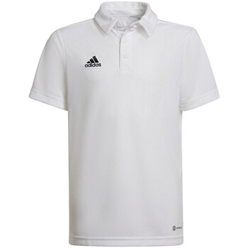 Vêtements Garçon T-shirts manches courtes directory adidas Originals Entrada 22 Blanc