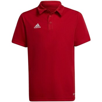 Vêtements Garçon T-shirts manches courtes adidas girls Originals Entrada 22 Rouge