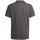 Vêtements Garçon T-shirts manches courtes adidas Originals Entrada 22 Gris