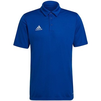 Vêtements Homme T-shirts manches courtes adidas Originals Entrada 22 Bleu