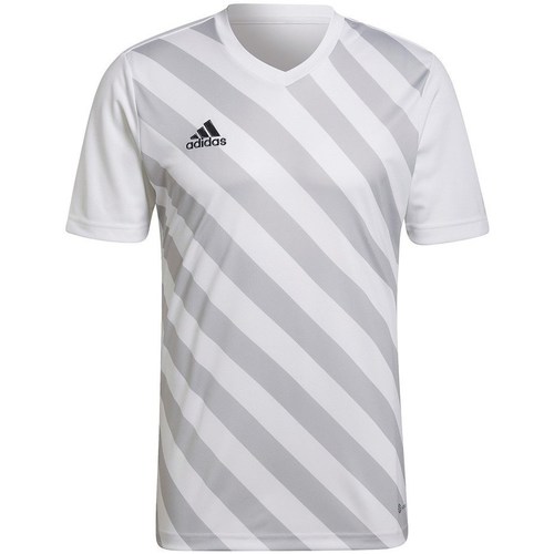Vêtements Homme T-shirts manches courtes adidas Originals Entrada 22 Gris, Blanc