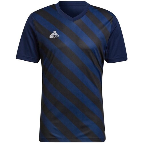 Vêtements Homme T-shirts manches courtes adidas Originals Entrada 22 Bleu marine, Noir