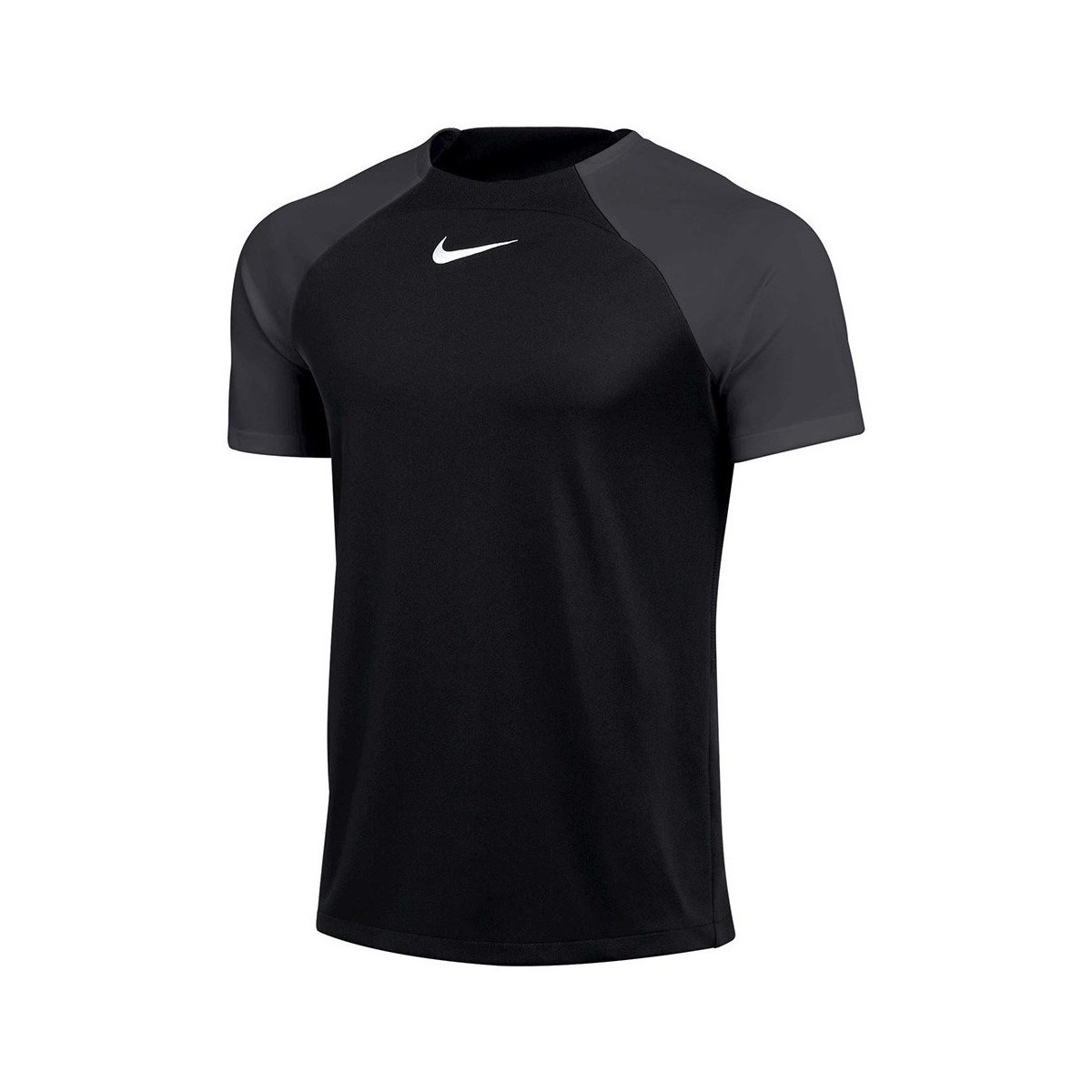Vêtements Homme T-shirts manches courtes Nike Drifit Adacemy Pro Noir