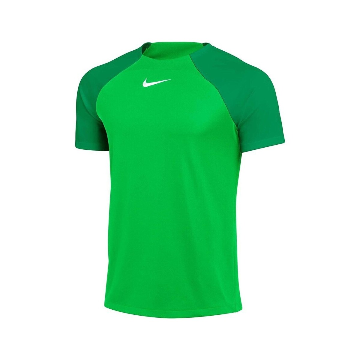 Vêtements Homme T-shirts manches courtes Nike Drifit Adacemy Pro Vert