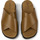 Chaussures Femme Sandales et Nu-pieds Camper Sandales cuir BRUTUS Marron